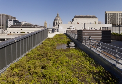 Planted roof at Richardson Apartments in San Francisco.