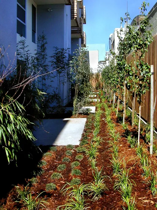 Courtyard greenery at Folsom-Dore Supportive Apartments in San Francisco, California.
