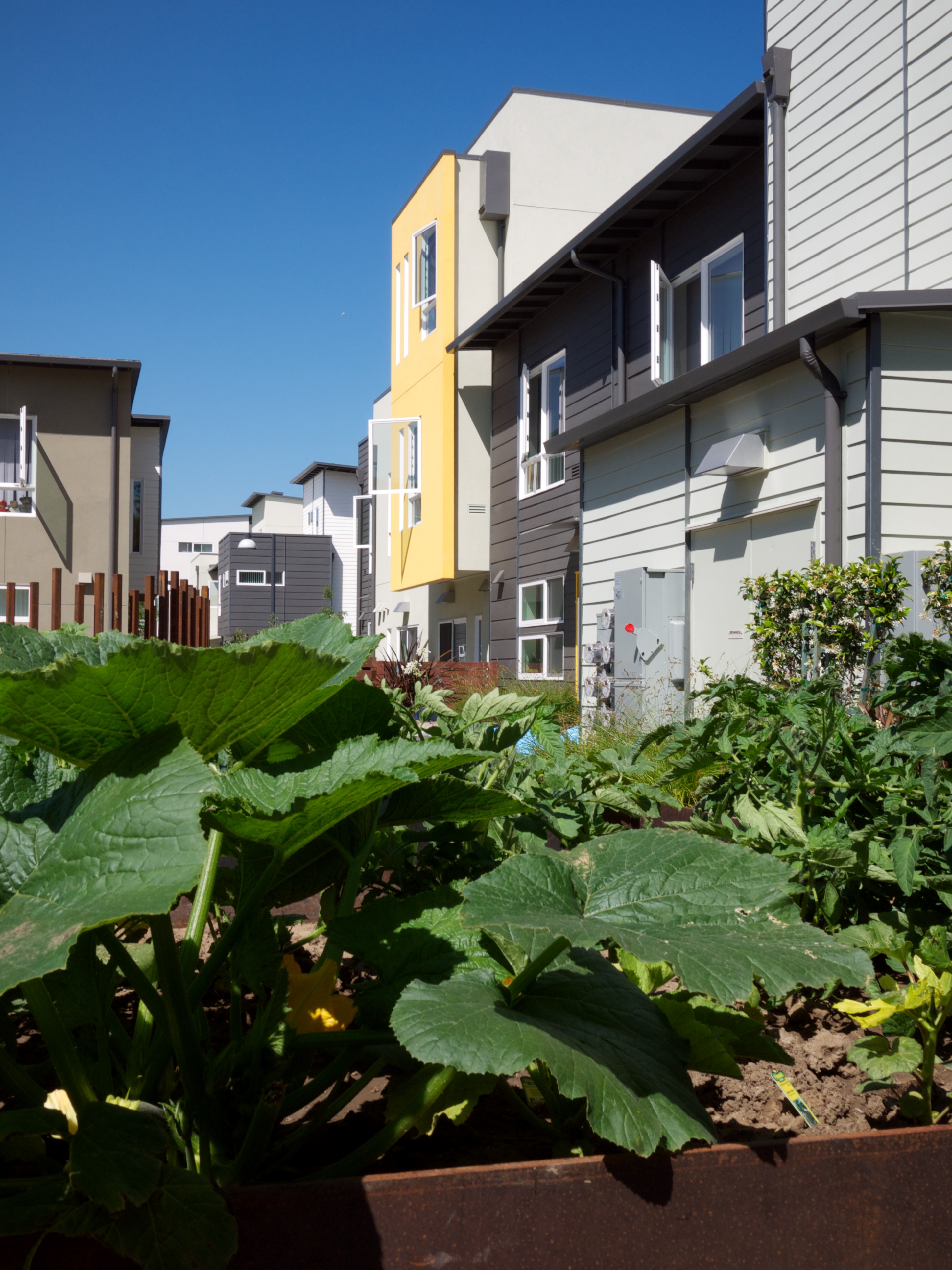 Exterior view of townhouses and garden at Tassafaronga Village in East Oakland, CA. 