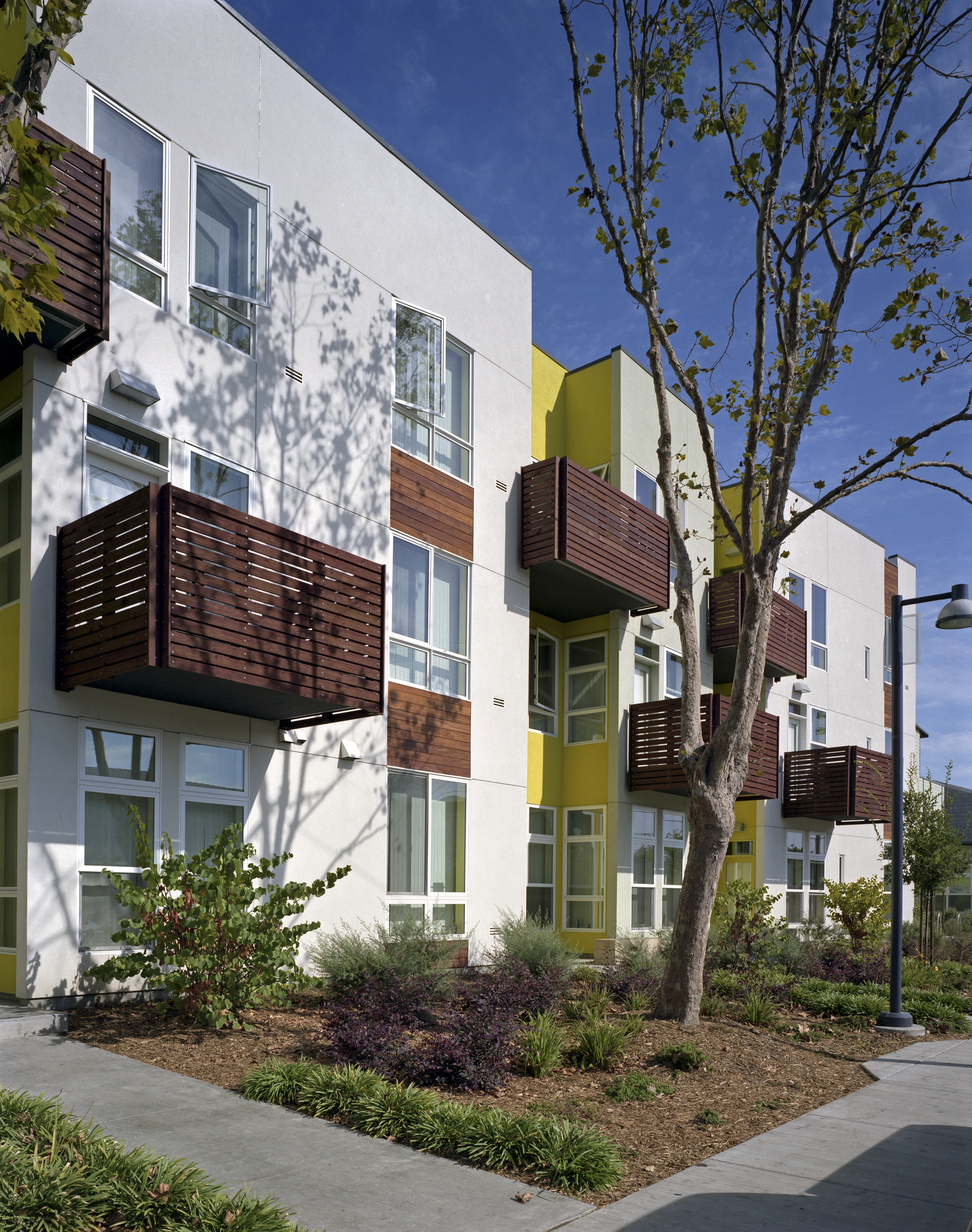 Elevation with wood-slat balconies and a planted sidewalk pathway Tassafaronga Village in East Oakland, CA. . 