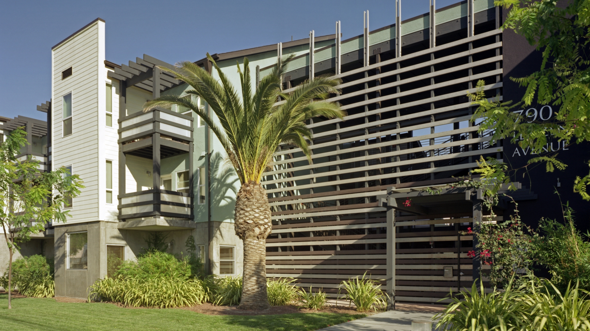 Entry surrounded by greenery and a large palm tree at Lenzen Square in San Jose, California.