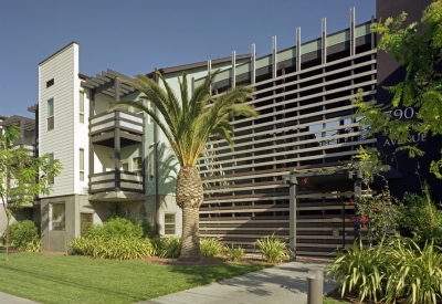 Entry surrounded by greenery and a large palm tree at Lenzen Square in San Jose, California.