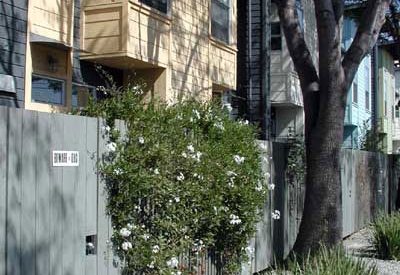 View from the sidewalk of Magnolia Row in West Oakland, California.