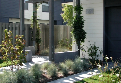Trellis and driveway at a unit at Magnolia Row in West Oakland, California.