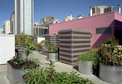 Garden beds in oval agricultural tubs overflowing with plants, with city view in background. 