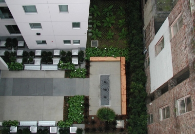 View from above looking down into courtyard, showing planting beds and the minimalist water feature. 