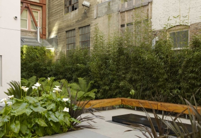 A low, black, modern water feature is surrounded by rustic wood benches and bamboo. 