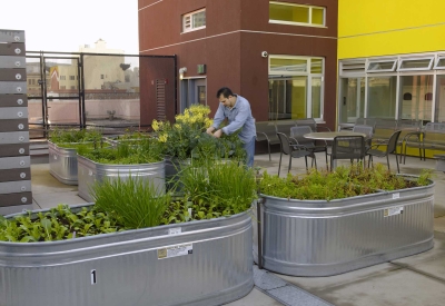 Resident in denim tending a lush planting bed with yellow flowers, surrounded by seating and other garden beds. 