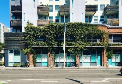 Detail of the creeping fig growing up the side of the building at Folsom-Dore Supportive Apartments in San Francisco, California.