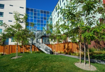 Exterior view of the glass sound wall at 888 Seventh Street in San Francisco.