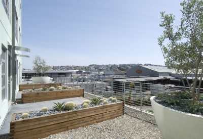 Private terraces at 888 Seventh Street in San Francisco.