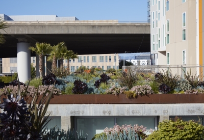 Exterior view of Potrero 1010 in San Francisco, CA.