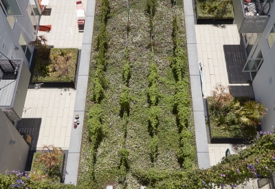 Courtyard view of Potrero 1010 in San Francisco, CA.