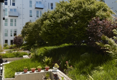 Courtyard view of Potrero 1010 in San Francisco, CA.