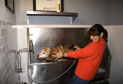 Women washing her dog in the "laundramutt" at Pacific Cannery Lofts in Oakland, California.