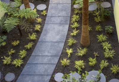 View of a courtyard from above at Pacific Cannery Lofts in Oakland, California.