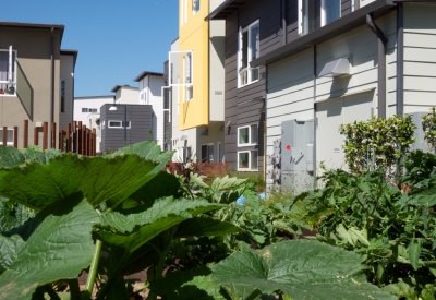 Exterior view of townhouses and garden at Tassafaronga Village in East Oakland, CA. 