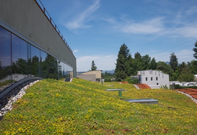 Green roof at h2hotel in Healdsburg, Ca.