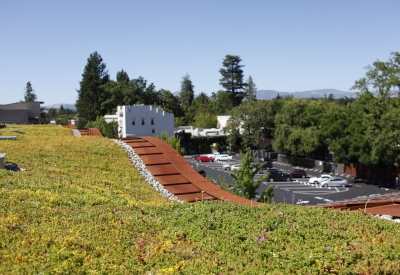 Green roof at h2hotel in Healdsburg, Ca.