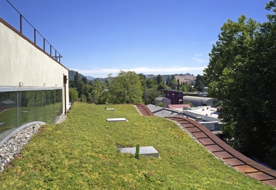 Green roof at h2hotel in Healdsburg, Ca.