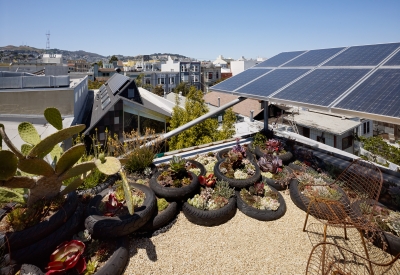 Vegetated roof, with motorcycle tires as the planters on Zero Cottage in San Francisco.