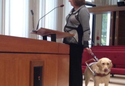 Guide Dog at the Palo Alto Architectural Review Board hearing for Mayfield Place in Palo Alto, Ca.