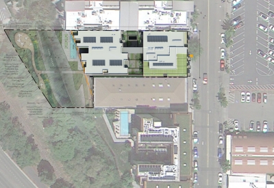 Roof site plan for Harmon Guest House in Healdsburg, Ca.