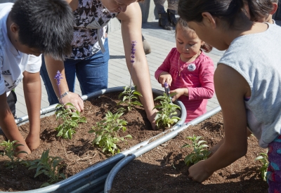 Community garden at Onizuka Crossing Family Housing in Sunnyvale, California.