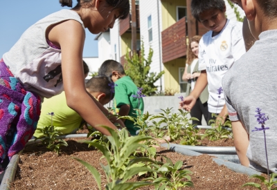 Community garden at Onizuka Crossing Family Housing in Sunnyvale, California.