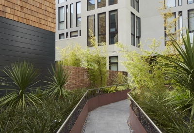 Courtyard view of 300 Ivy in San Francisco, CA.