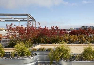 Exterior view of rooftop at 300 Ivy in San Francisco, CA.