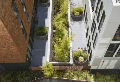 Aerial courtyard view of 300 Ivy in San Francisco, CA.