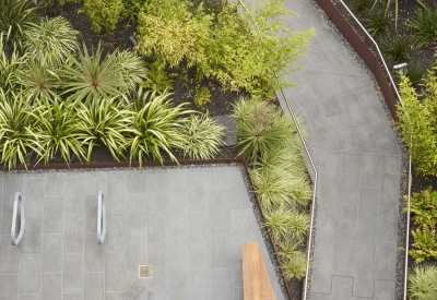 Courtyard view of 300 Ivy in San Francisco, CA.