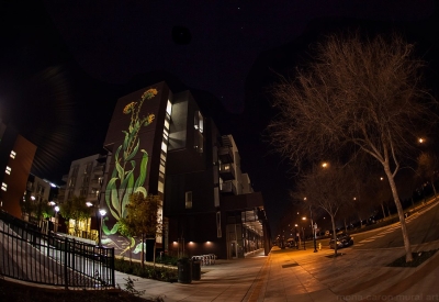 Large sunflower mural at night at Station Center Family Housing in Union City, Ca