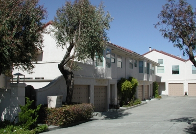 Exterior view of shared pedestrian mews and drive ways at Holloway Terrace in San Francisco.