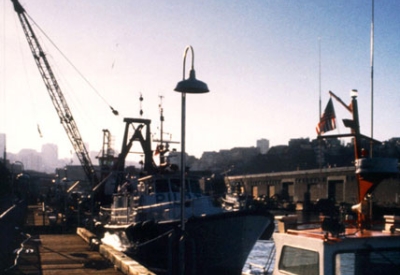 View of the pier by San Francisco Bar Pilots in San Francisco.