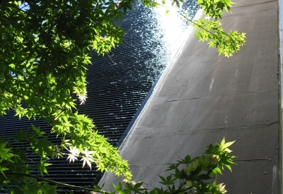 View of the greenery and fountain wall at 1500 Park Avenue Lofts in Emeryville, California.