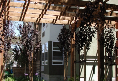 Courtyard at Mabuhay Court in San Jose, Ca.