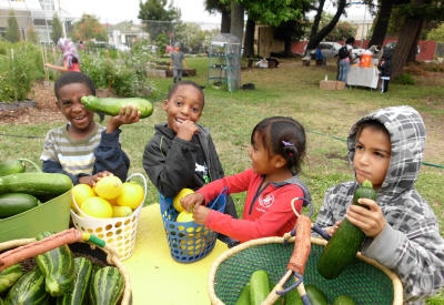 Acta Non Verba Farm harvest at Tassafaronga Village in East Oakland, CA. 