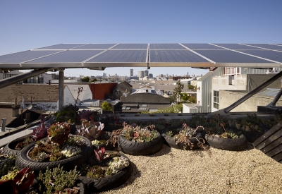 Vegetated roof, with motorcycle tires as the planters and solar panels on Zero Cottage in San Francisco.