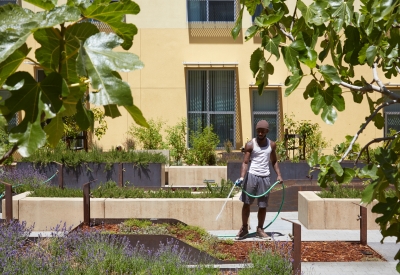 Man watering the community garden at Bayview Hill Gardens in San Francisco, Ca.