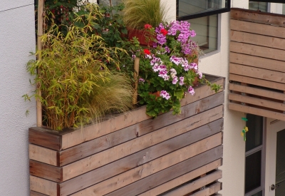 Various plants on a balcony at Folsom-Dore Supportive Apartments in San Francisco, California.