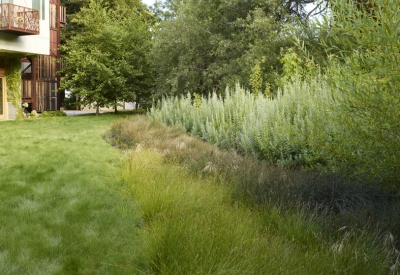 Outdoor greenery at h2hotel in Healdsburg, Ca.