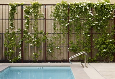 Outdoor pool at h2hotel in Healdsburg, Ca.