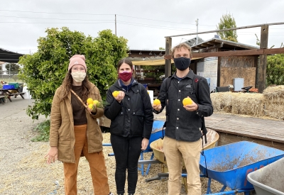 DBA staff holding lemons at the site visit for Farm2Market Shade Trellis in Alameda, California.