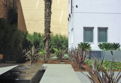 View of courtyard benches, palm tree, and planters on a sunny day. 