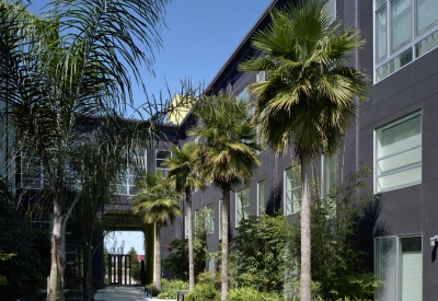 Main courtyard at Pacific Cannery Lofts in Oakland, California.