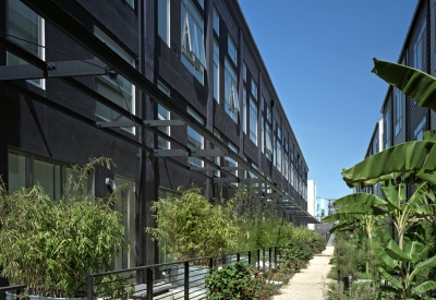 Resident path with greenery at Pacific Cannery Lofts in Oakland, California.