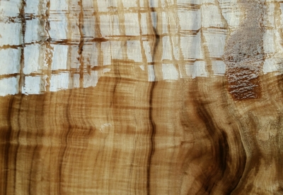 Bay Lauren wood grain for Hotel Healdsburg in Healdsburg, Ca.