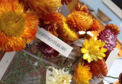 Detail of orange and pink flowers with a note that says StoreFrontLab.org